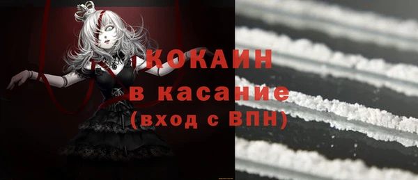 гидра Белокуриха