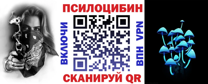 Псилоцибиновые грибы Psilocybe Дальнегорск